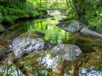 Glengarriff Woods Nature Reserve